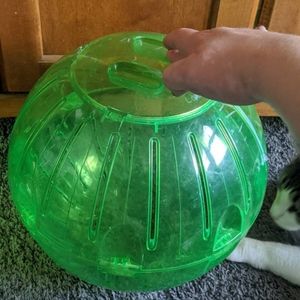 Rodent Exercise ball